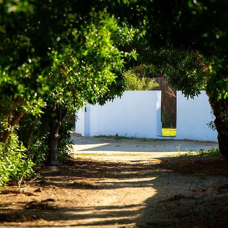 Casara Tres - 2 Dormitorios - Jardin Y Acceso Privado A La Playa サオラ エクステリア 写真