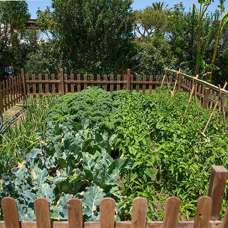 Casara Tres - 2 Dormitorios - Jardin Y Acceso Privado A La Playa サオラ エクステリア 写真
