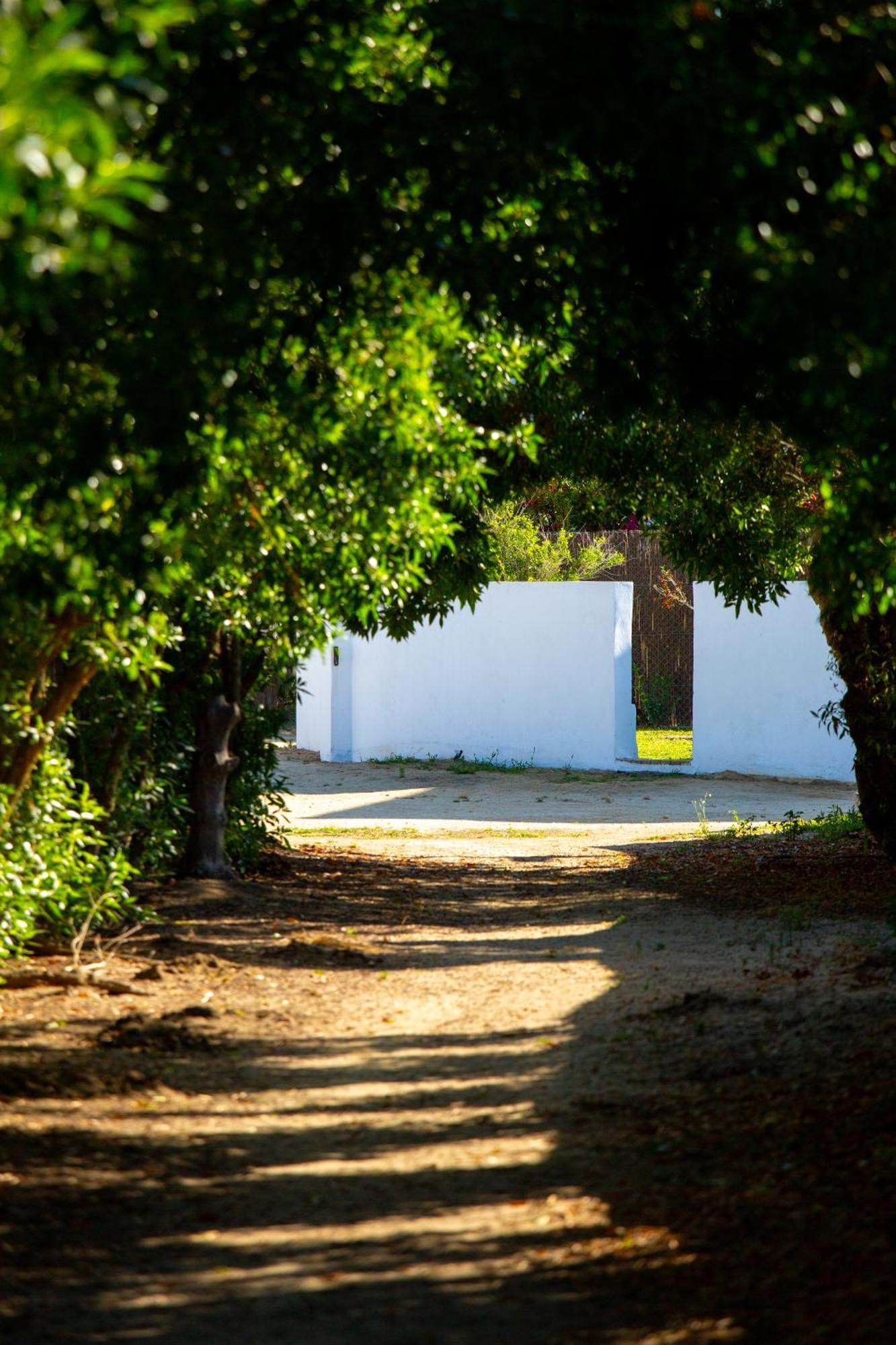 Casara Tres - 2 Dormitorios - Jardin Y Acceso Privado A La Playa サオラ エクステリア 写真