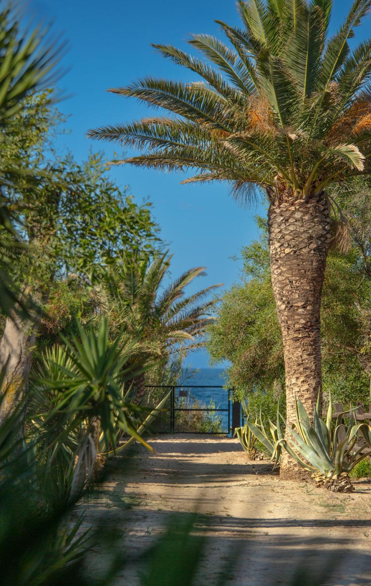 Casara Tres - 2 Dormitorios - Jardin Y Acceso Privado A La Playa サオラ エクステリア 写真